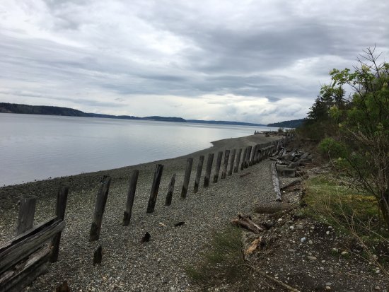 Sequalitchew Creek Trail2
