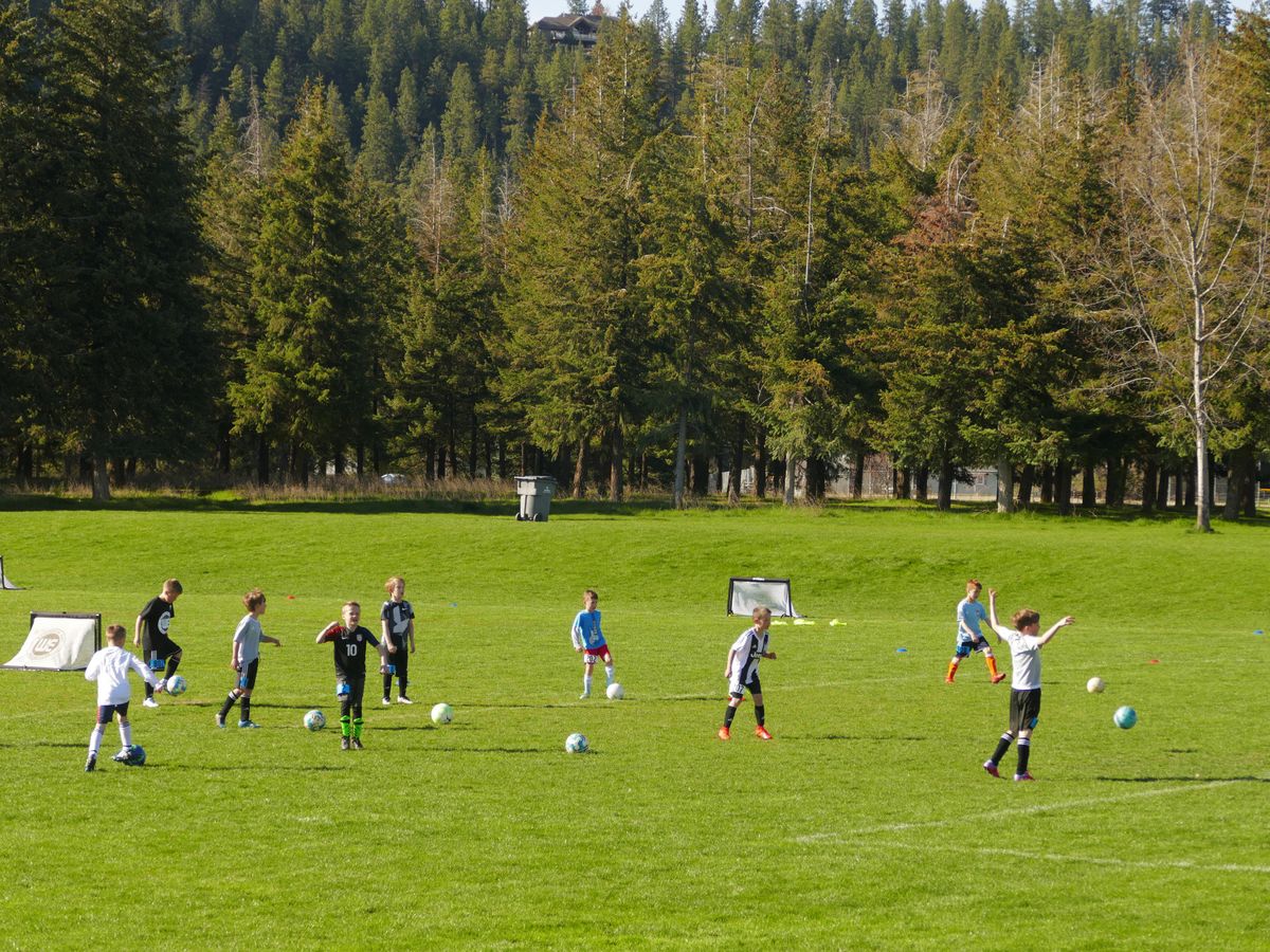 Plantes Ferry Sports Complex 3