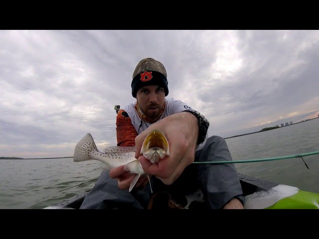 snook stamp charters 2