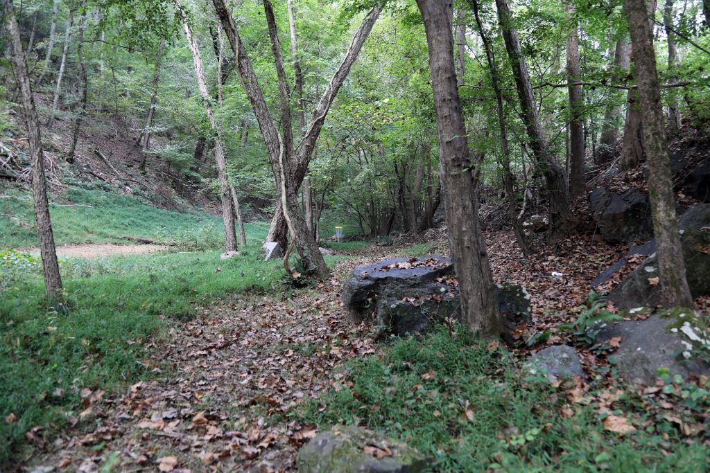 Etowah Disc Golf at Riverside Park3