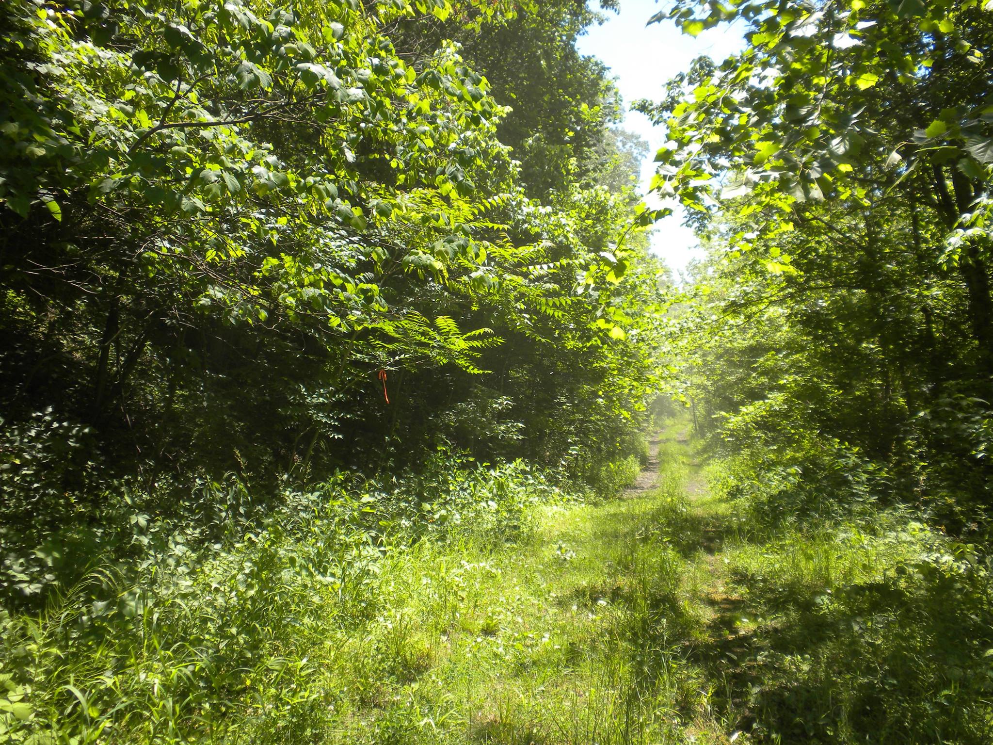 Athens Belpre Rail Trail5