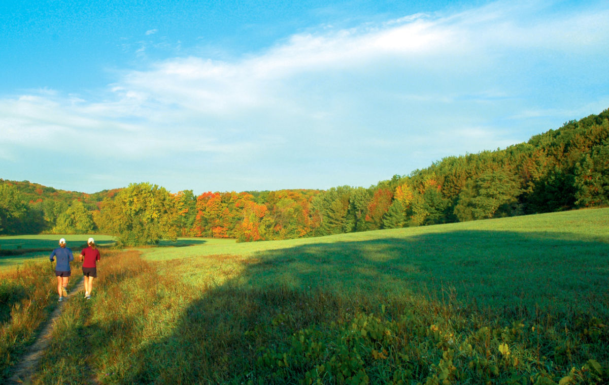 Hickory Meadows