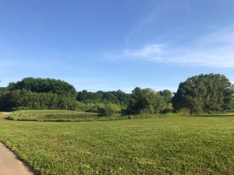 Mcallister Park View