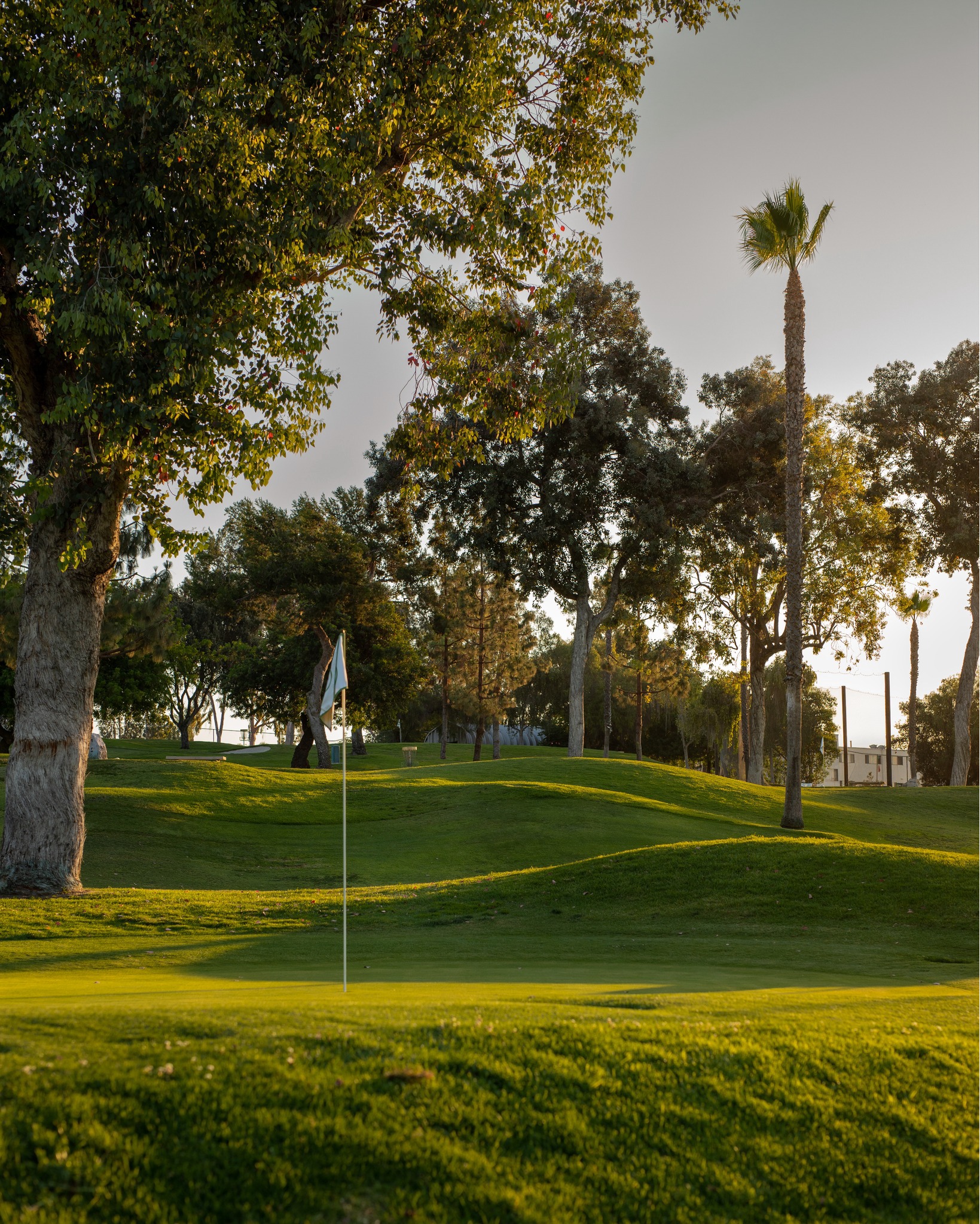 Colina Park Golf Course2