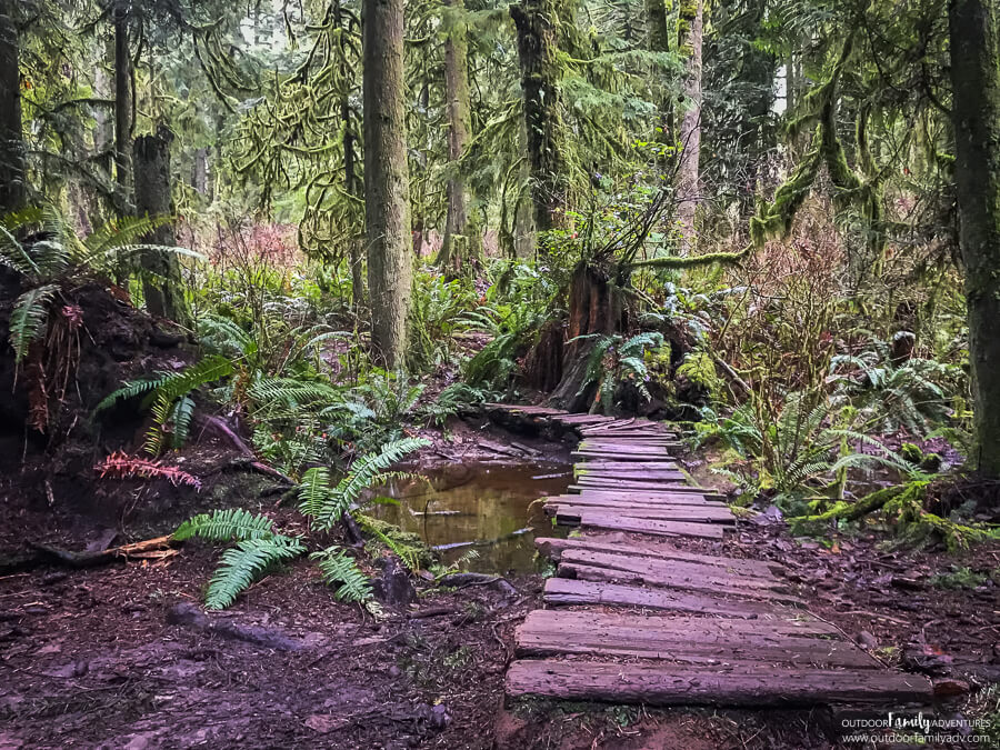 Lord Hill Regional Park8