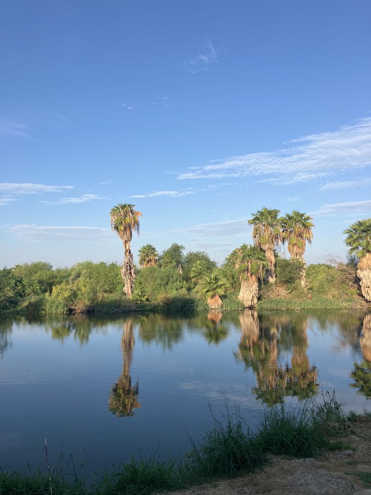 pond at ncp.jpg