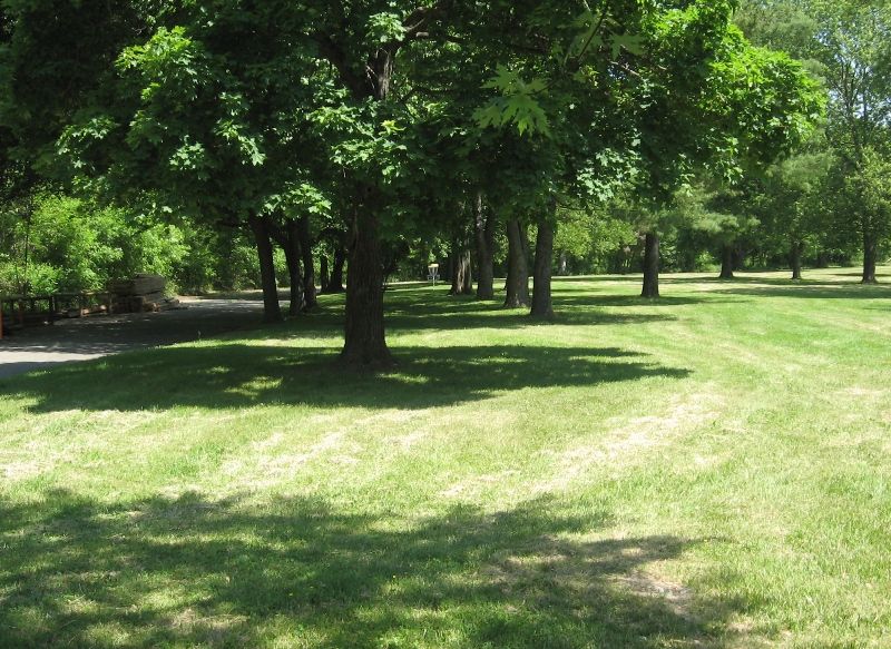 Silver Creek 1