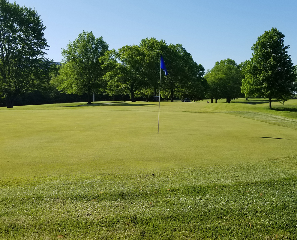 Pine Shores Golf Course 6
