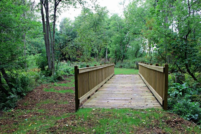 Greig Park Nature Trailv 6