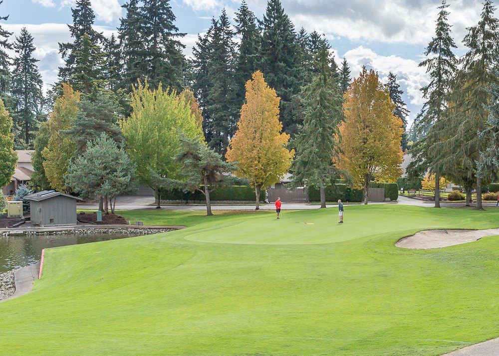 Summerfield Golf Course6