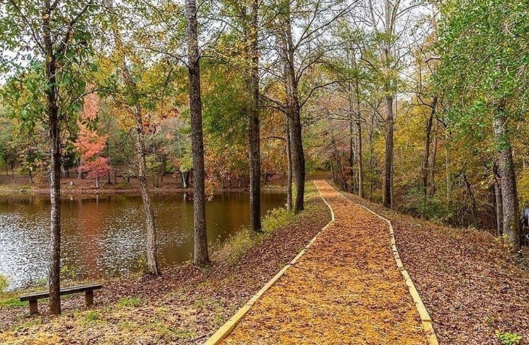 Musgrove Mill State Historic Site6