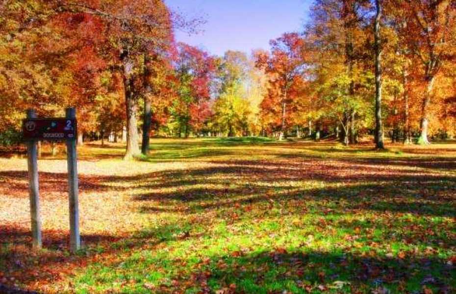 Pine Shores Golf Course 7