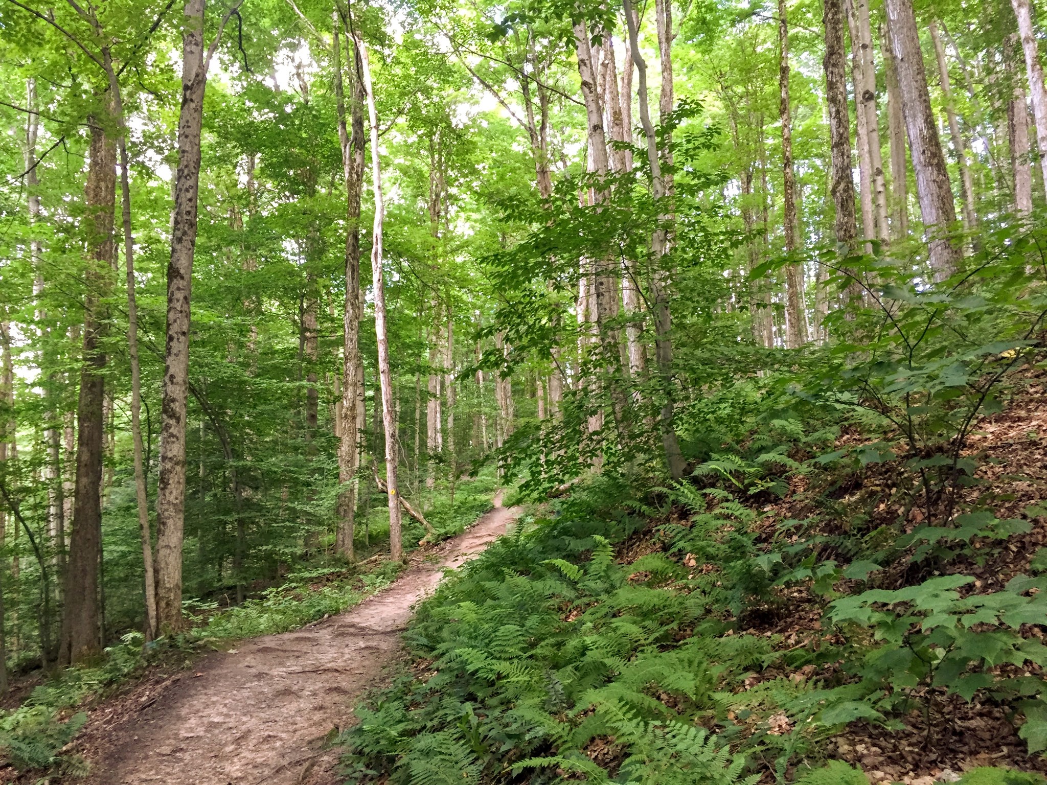 Baltimore Woods Nature Center 6