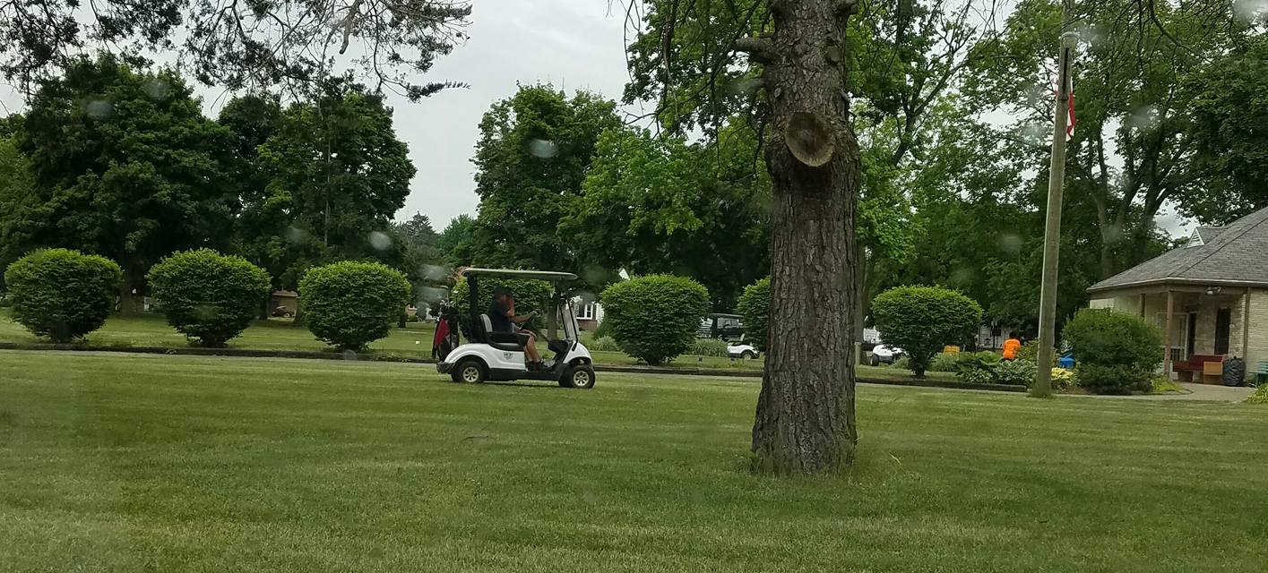 Collins Park Golf Club3