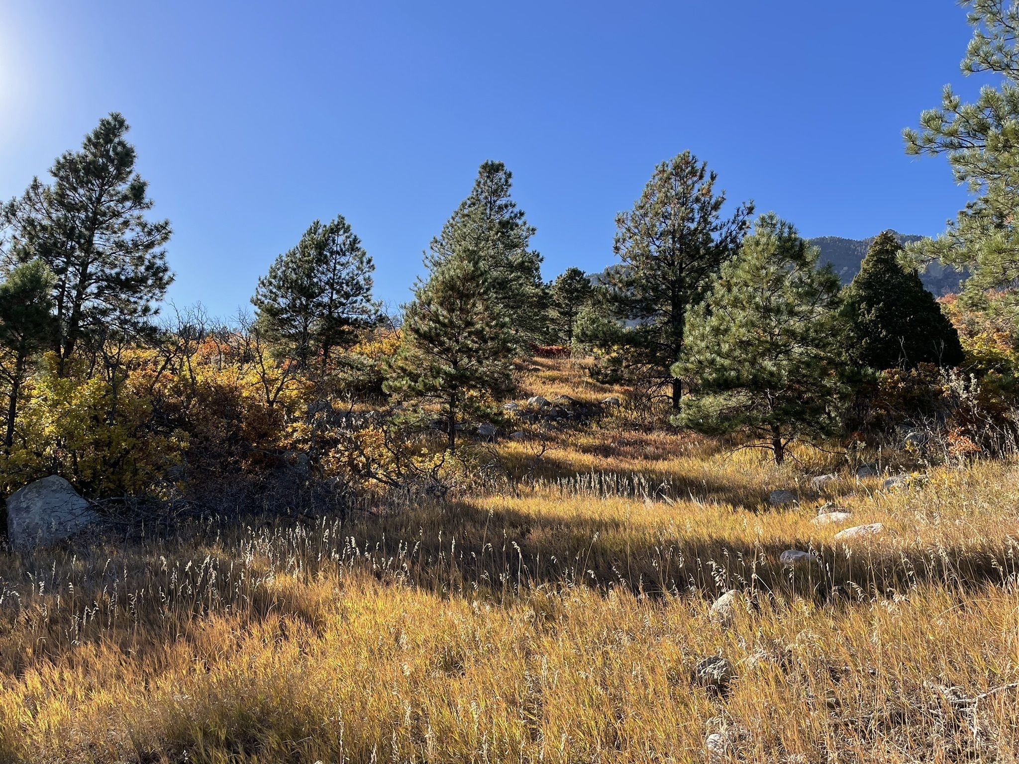 Cheyenne Mountain State Park2