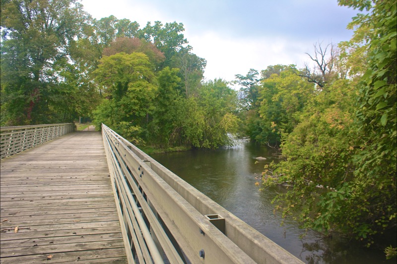 Albion River Trail 2