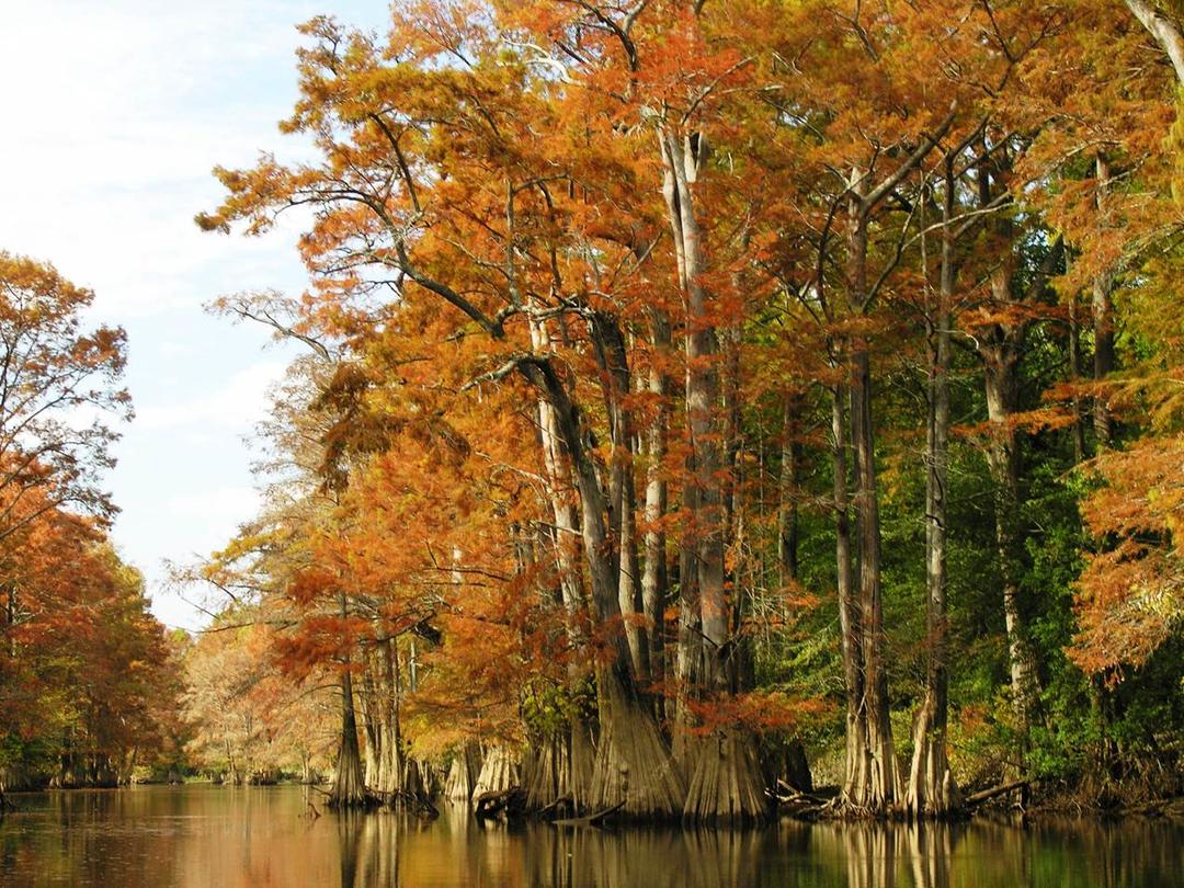 Fourche Creek Wetlands3