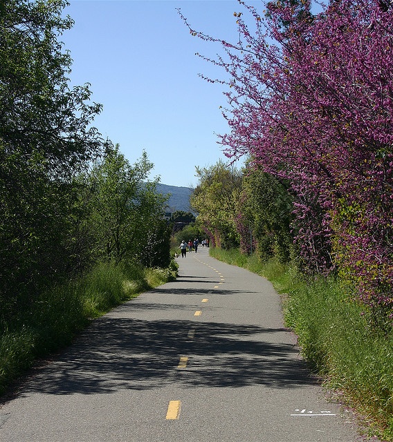 Los Gatos Creek Trail 5