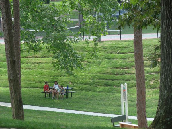 Roper Park Field2