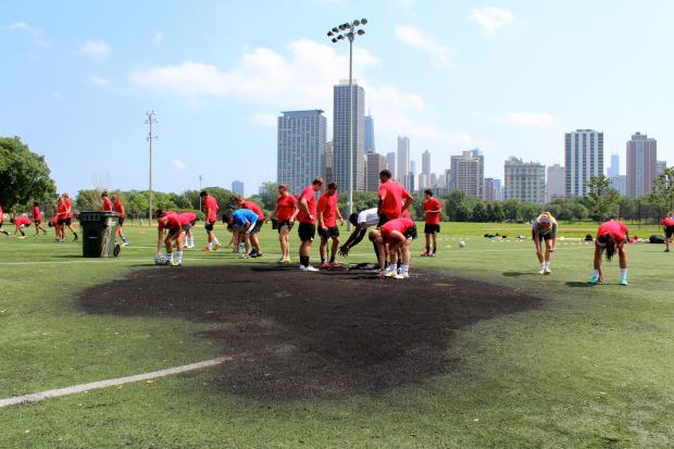 Lincoln Park 2