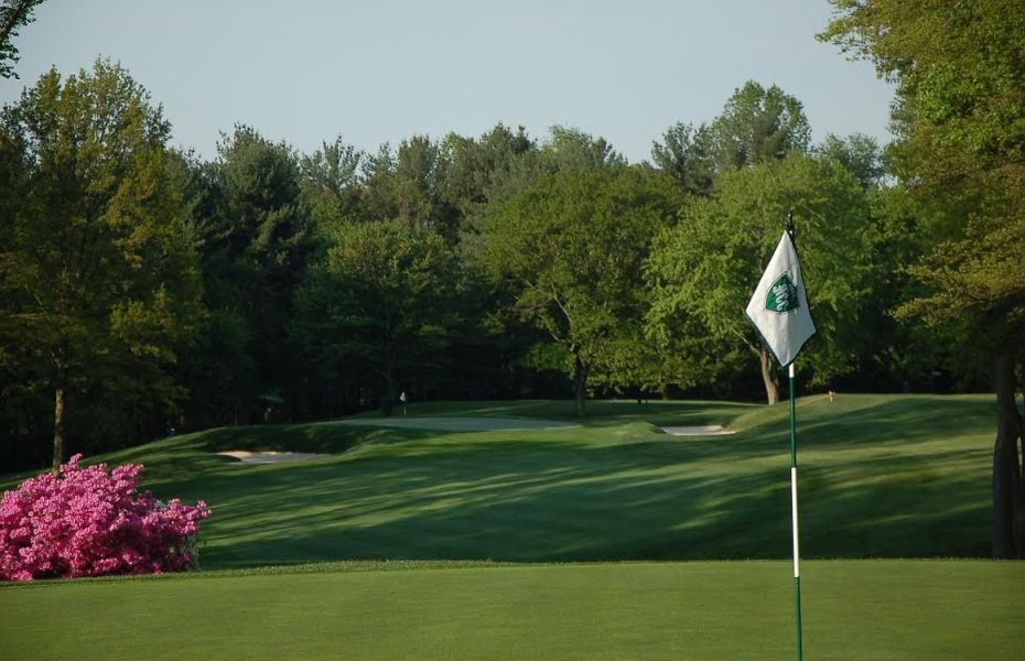 Hillendale 1