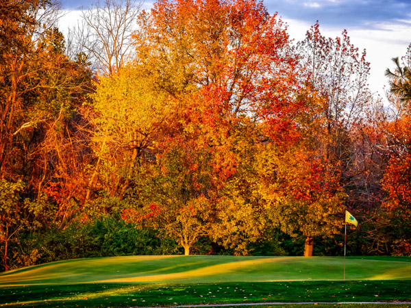 Wildwood Golf Club2