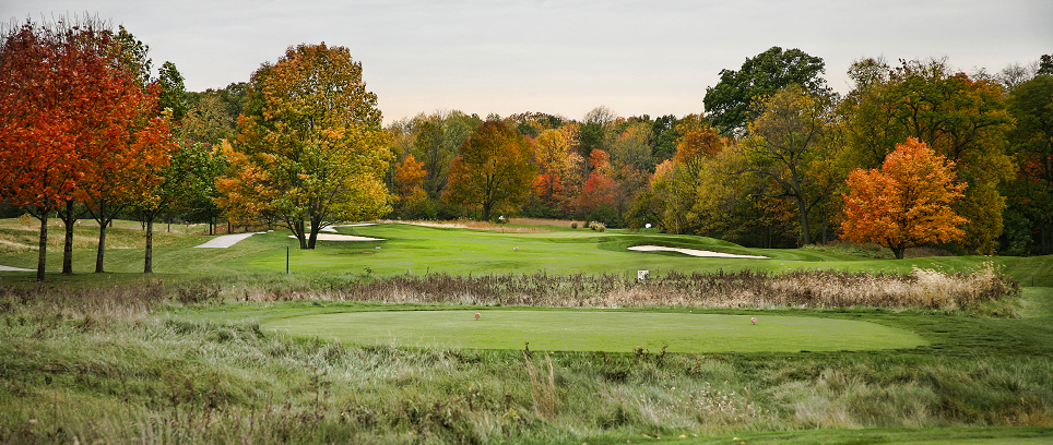 fort golf 5