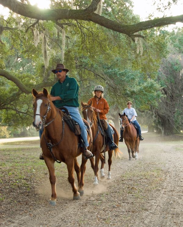 Mullet Hall Equestrian Center8