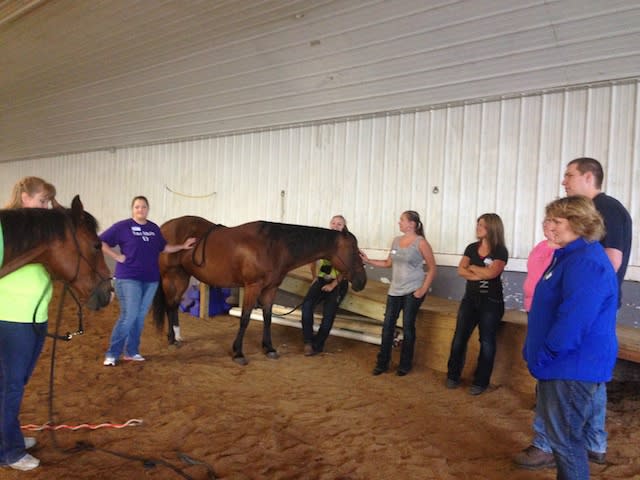 Trinity Equestrian Center
