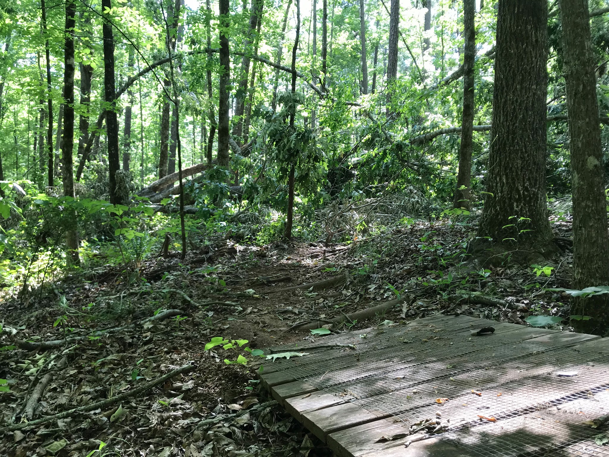 Lakeside Trails2