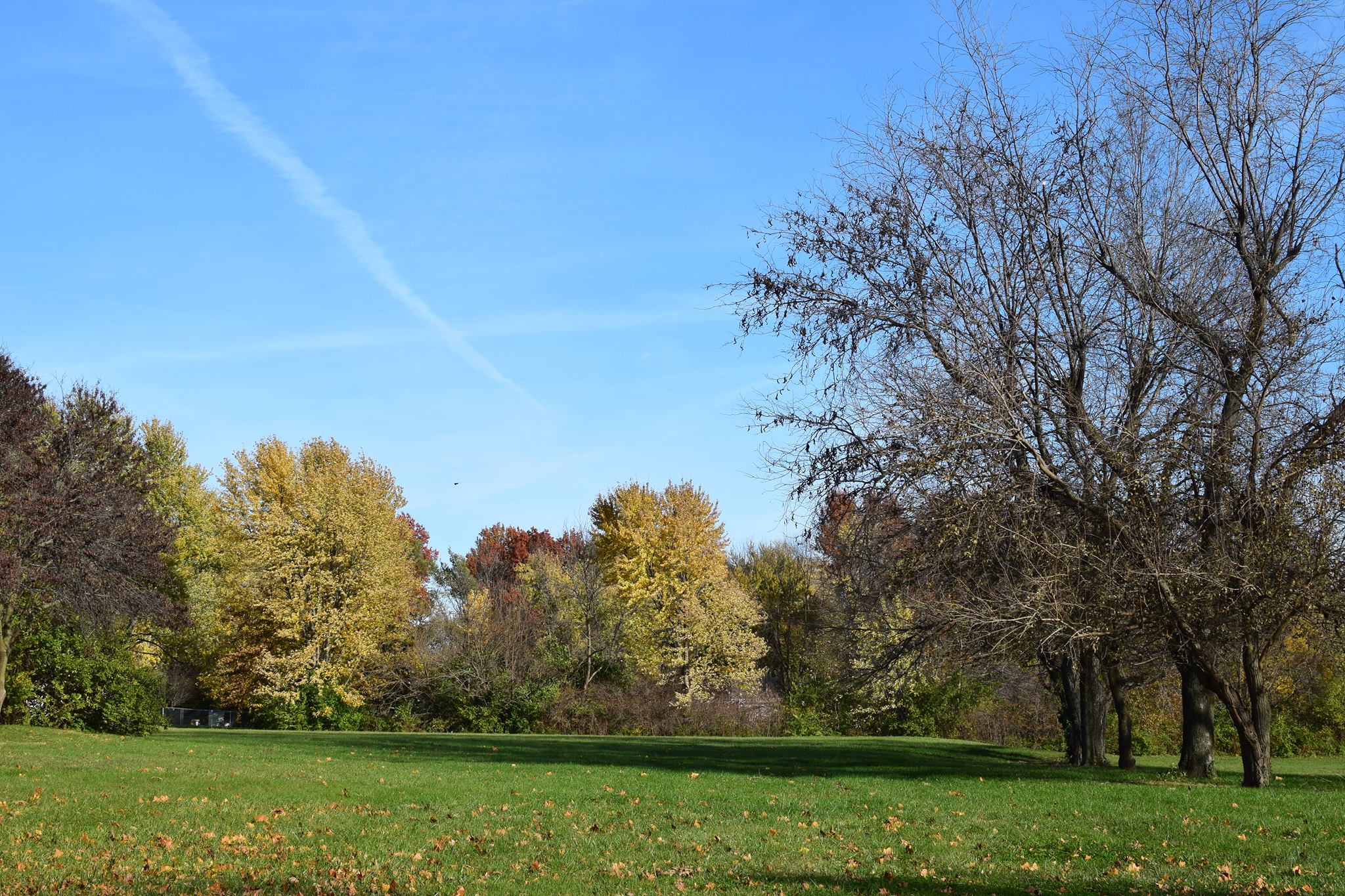 John Anderson Park2