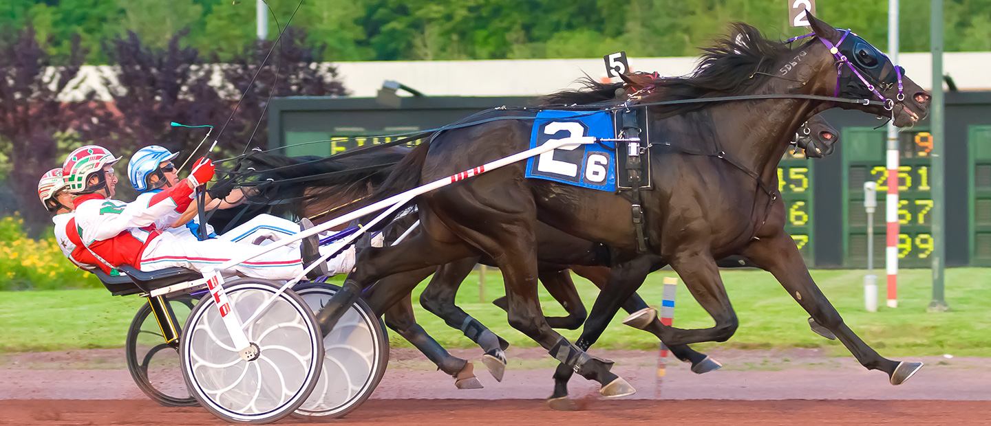 Downs at Mohegan Sun Pocono Harness Racing 1