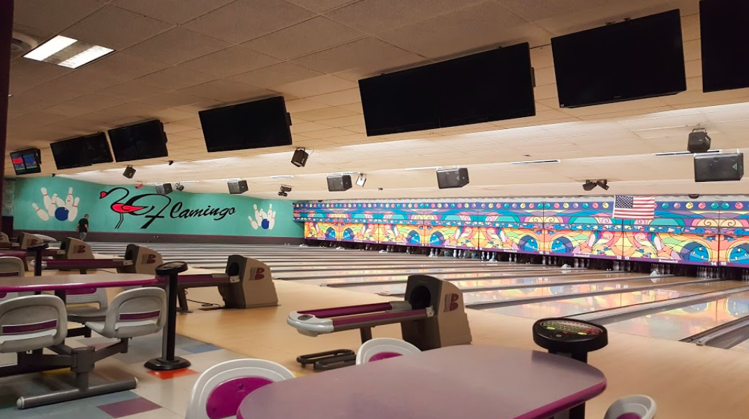 flamingo bowl 5