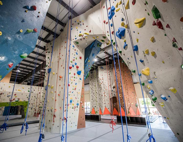 Vertical eXcape Climbing Center 1