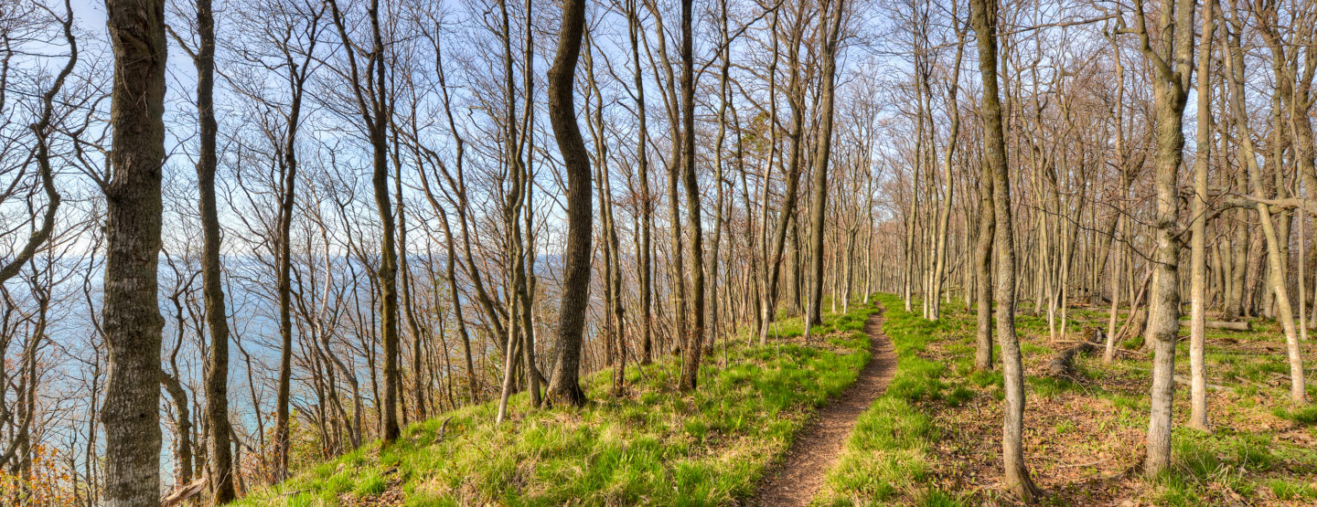 Whaleback Natural Area 3