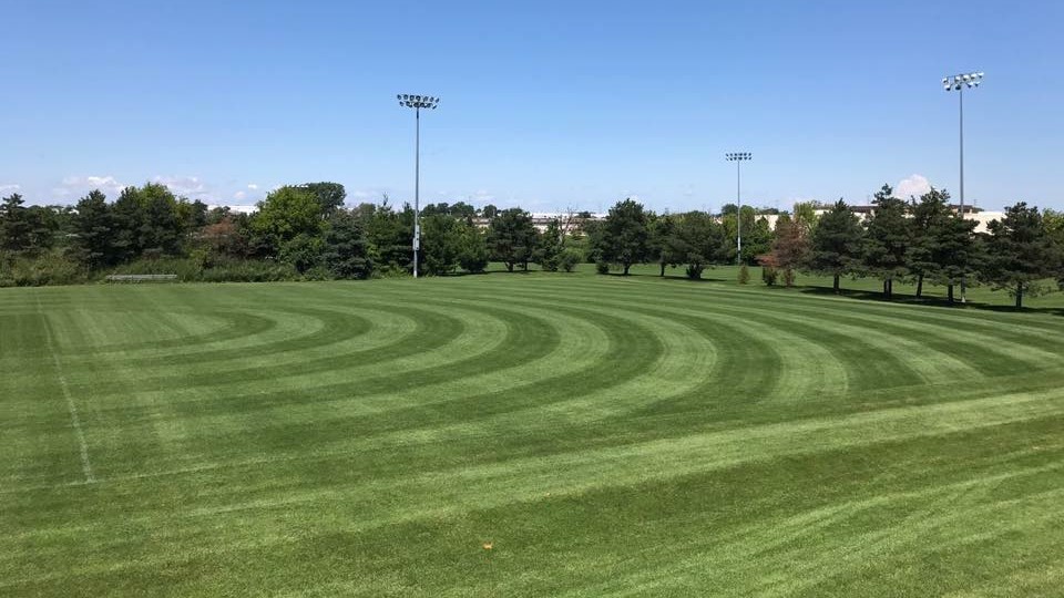 GLSA Field 1