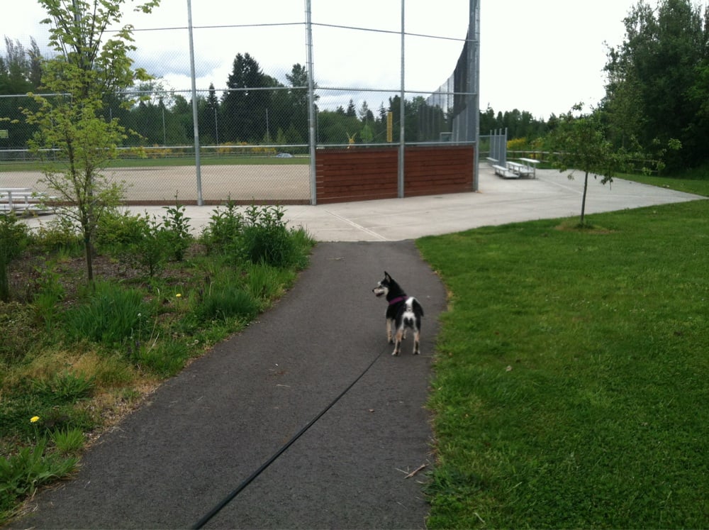Martha Lake Airport Park2