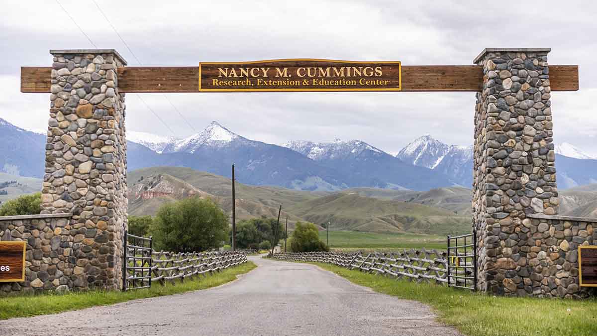 Nancy Cummings Park 6