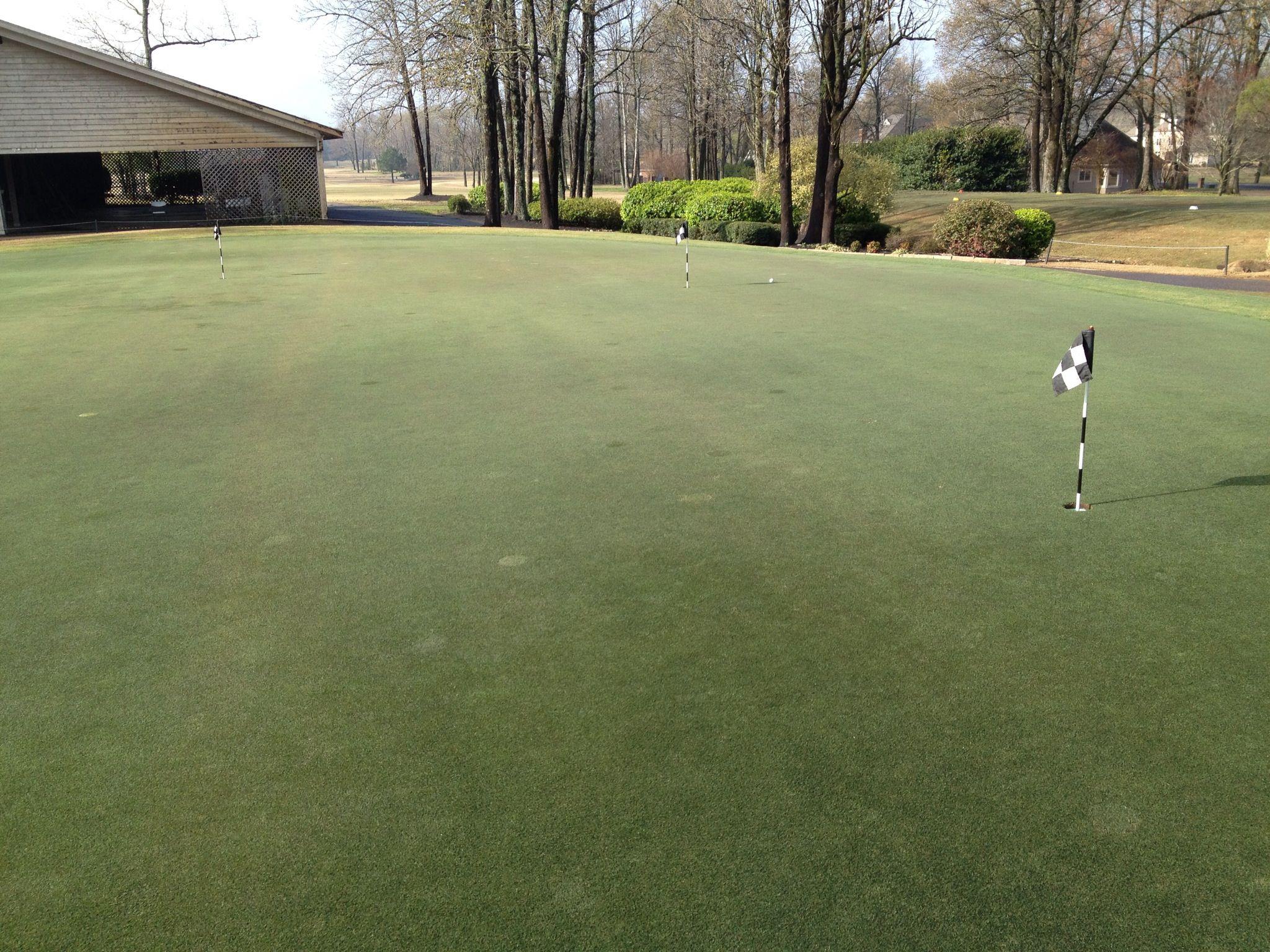 Wedgewood Golf Club4