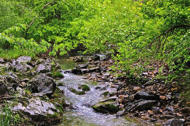 AnyConv.com__Music Bend Nature Trail 4