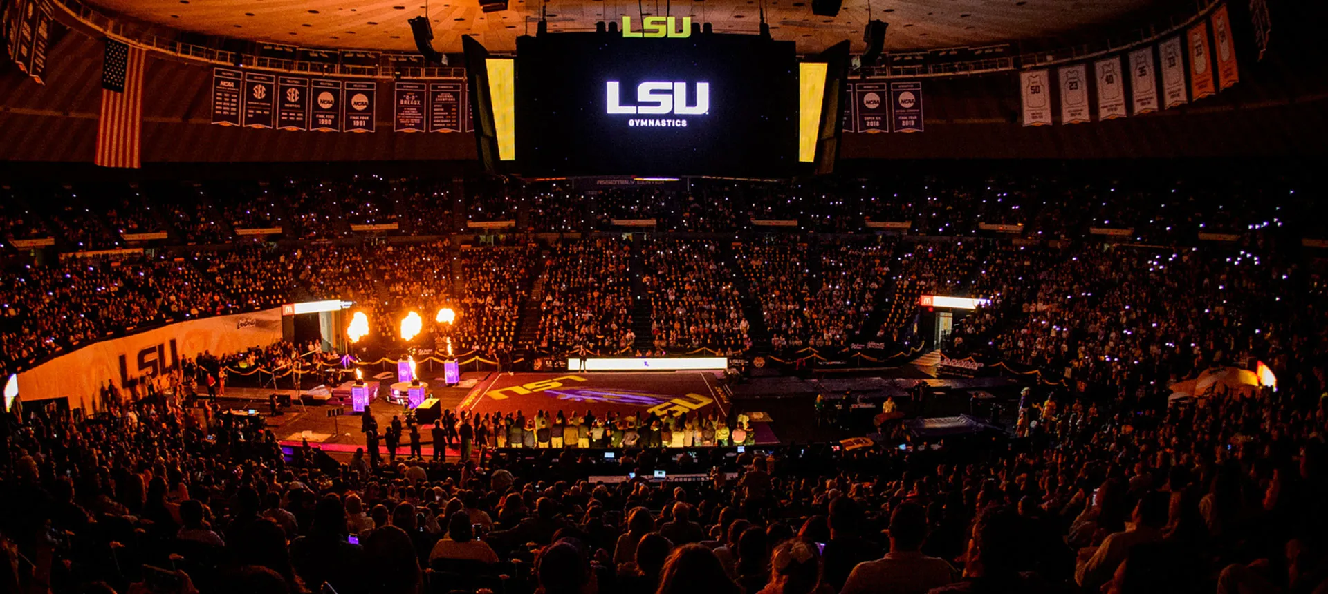 LSU Gymnastics .jpg