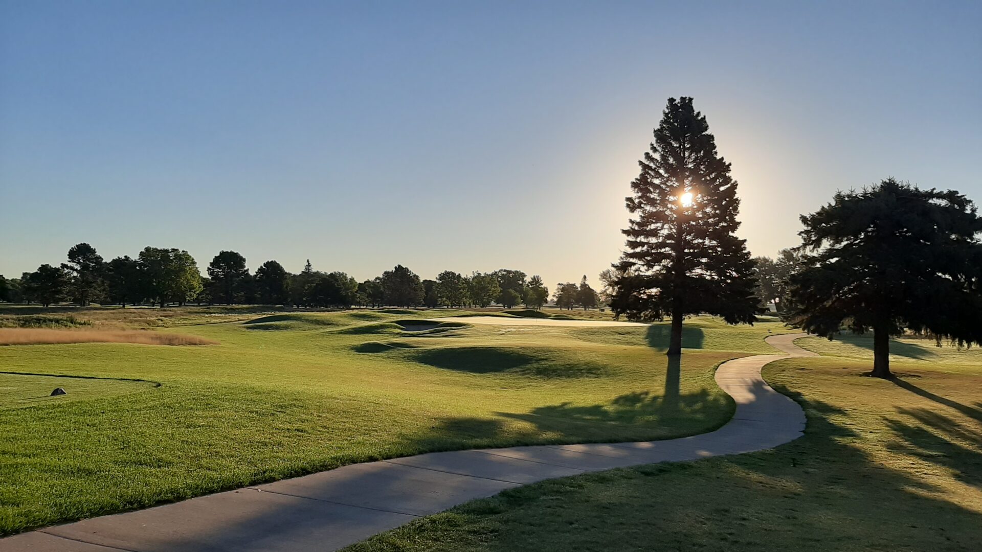 Elmwood golf course 4