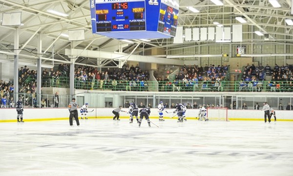 Sage_Rink