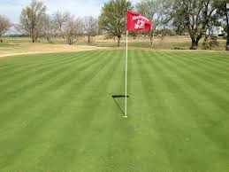 Meadowlake golf