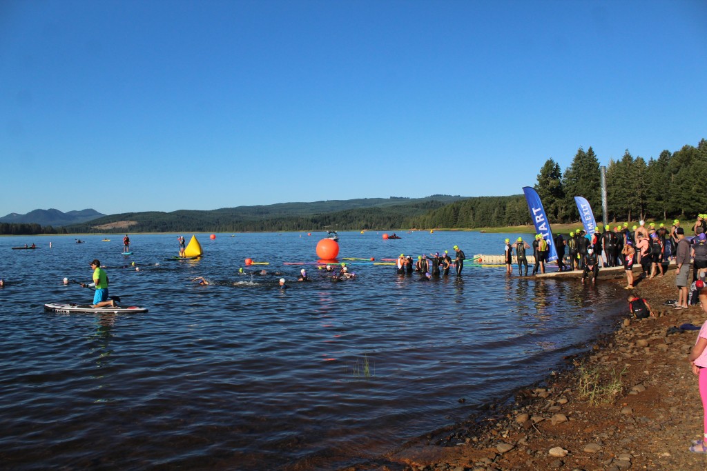 Dorena Lake2