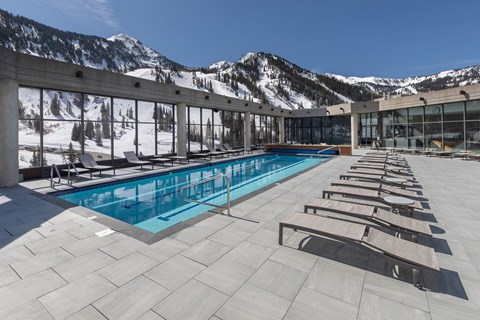 Snowbird