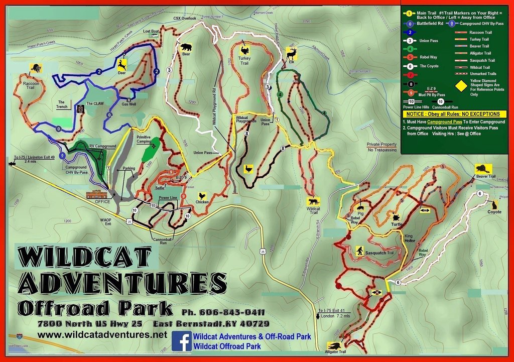wildcat adventures