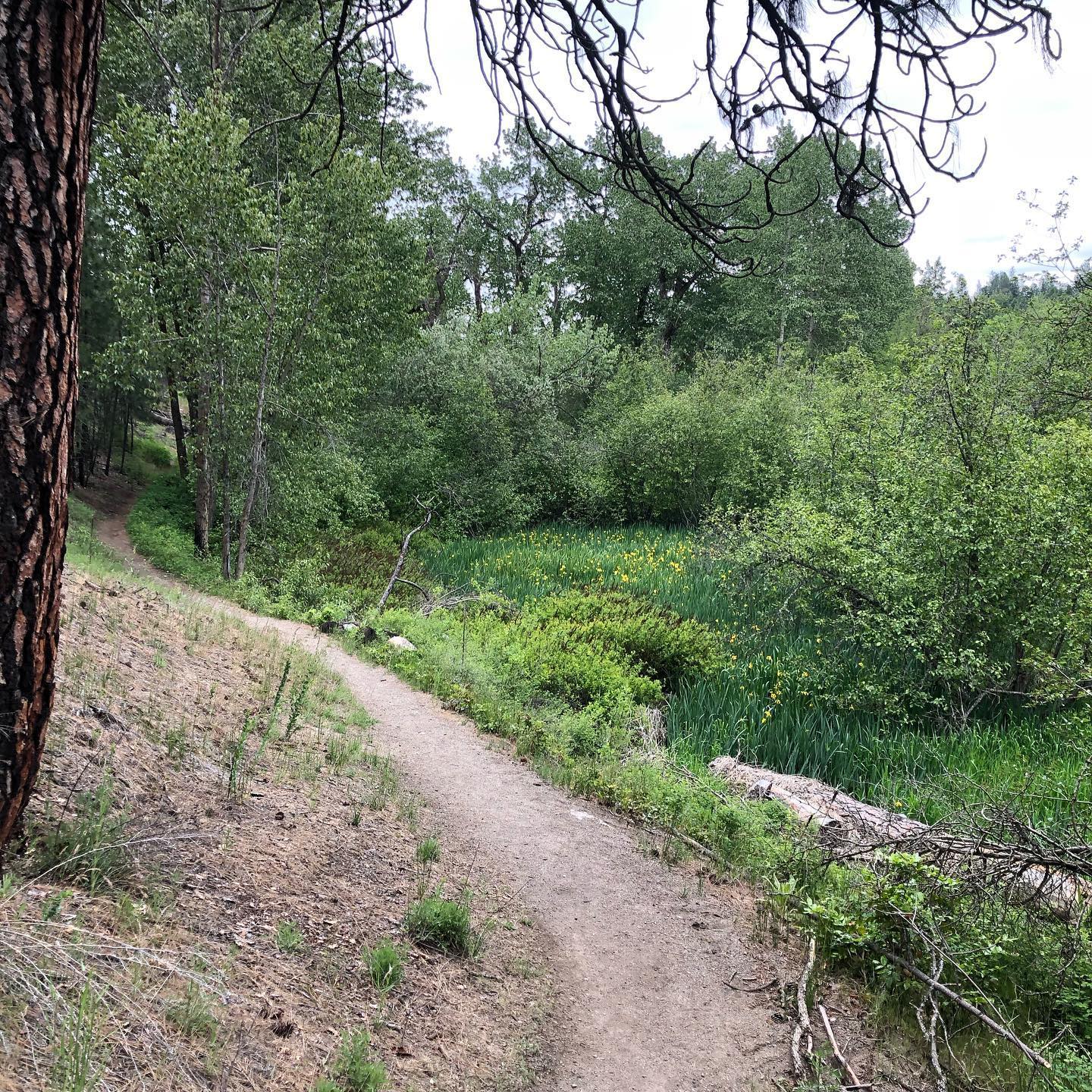 Riverside State Park10