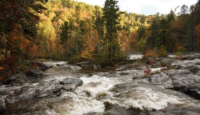 Chattooga River8