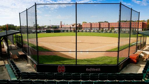 North Central College Softball.jpeg